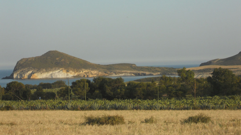 cabo-de-gata-almeria-andalusien-entdecken