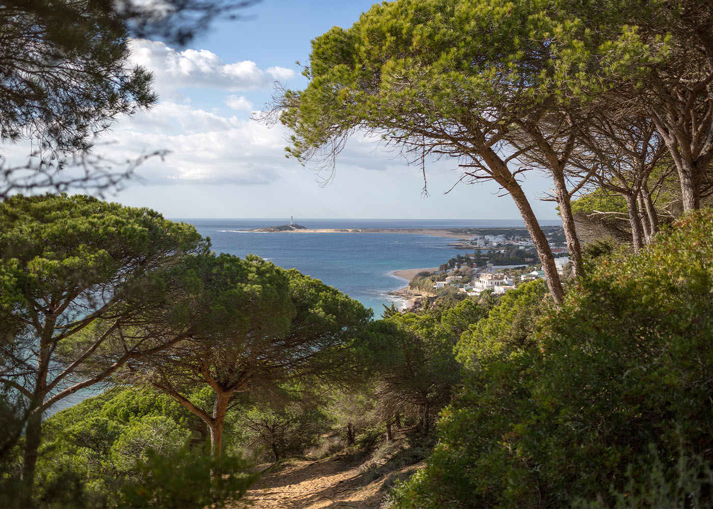 Naturpark-La-Breña-y-Marismas-del-Barbate-andalusien-entdecken